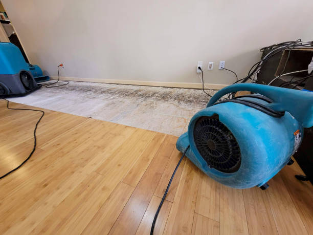 Professional Water Damage Repair technician working in Harlem, FL
